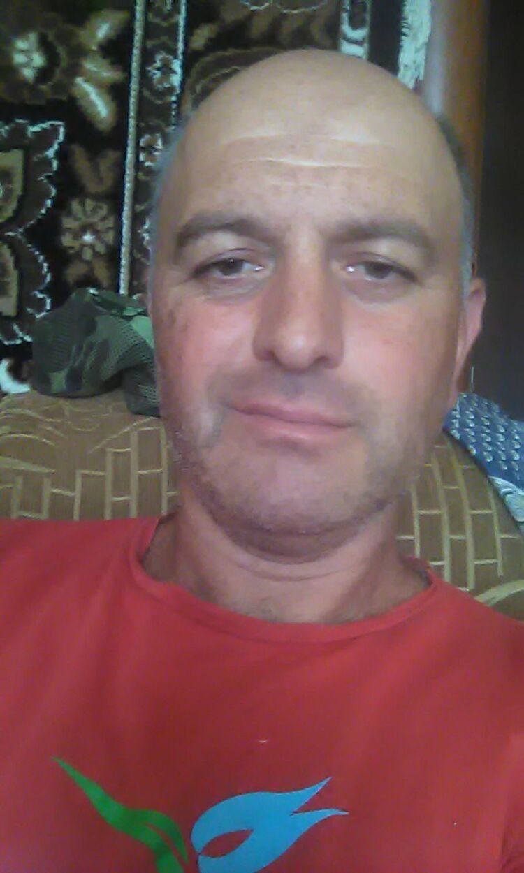  31313783  , 43 ,    