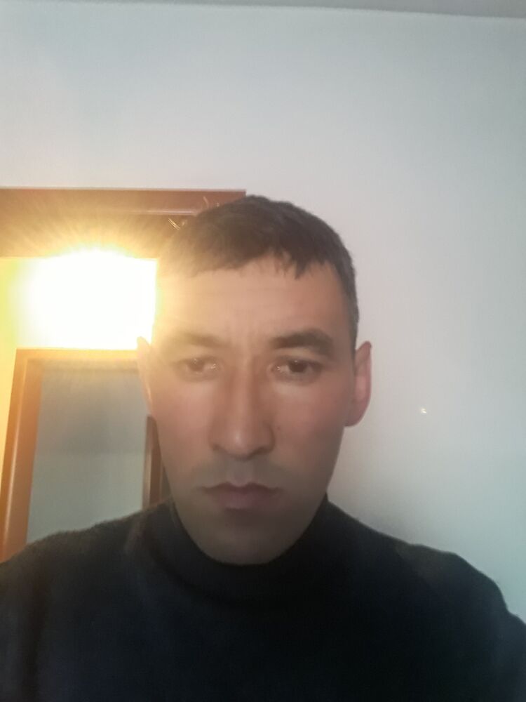  31496653  , 44 ,    -