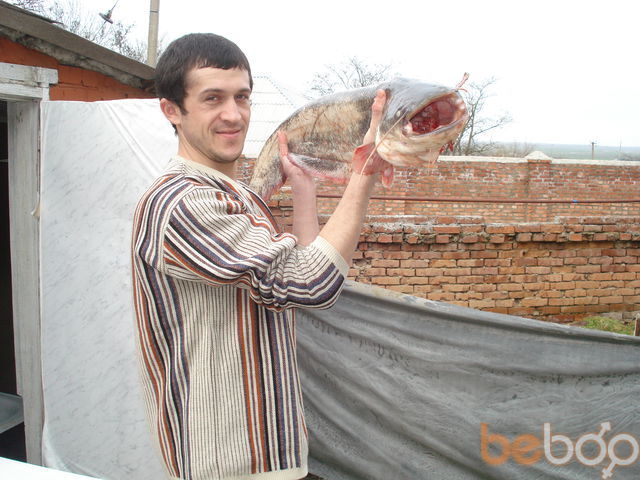 ���� 1065913 ������� �����95, 41 ���, ���� ���������� � �������