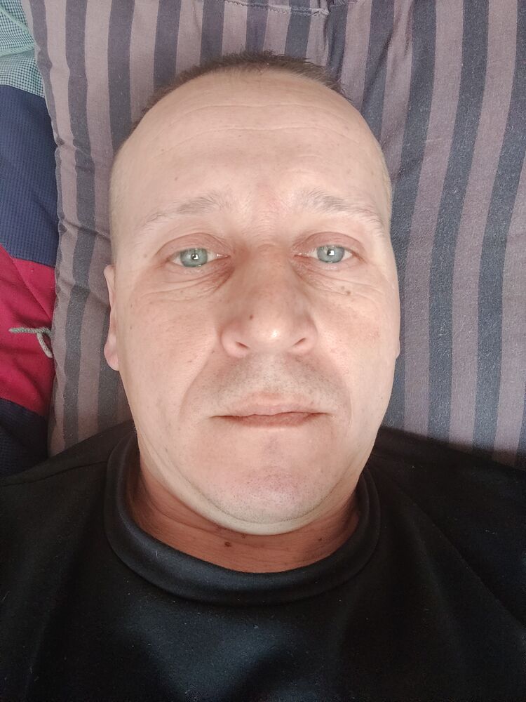  44668573  , 41 ,    