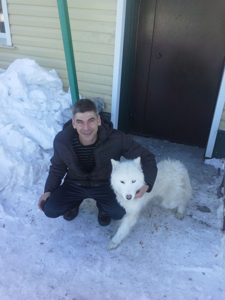 ���������� �����������, ���� ������� ������, 50 ���, ������������ ��� ����� � ���������, c�������� ���������