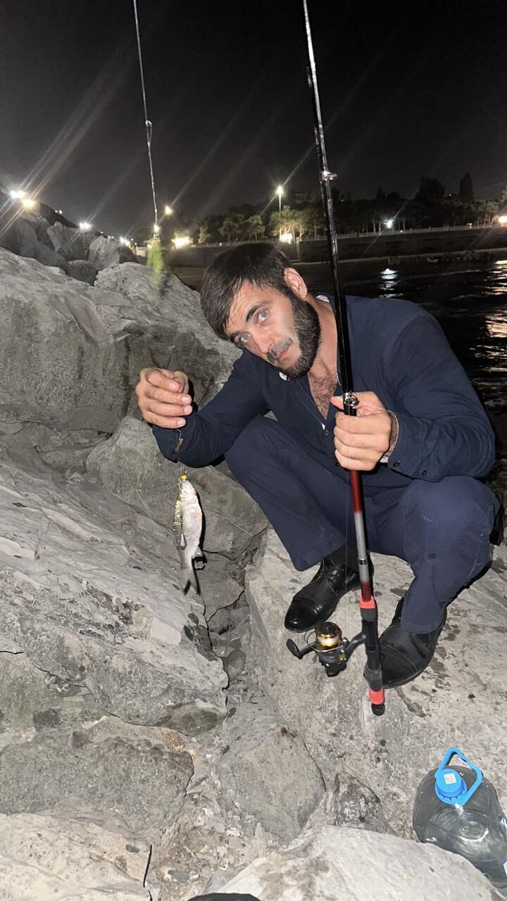 ���������� ���������, ���� ������� ������, 36 ���, ������������ ��� ����� � ���������, c�������� ���������, ���������