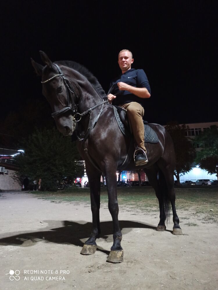 ���������� �����������, ���� ������� �������, 38 ���, ������������ ��� ����� � ���������, c�������� ���������