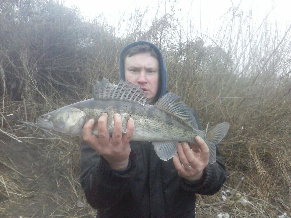 ���� 28768353 ������� ����, 26 ���, ���� ���������� � ��������