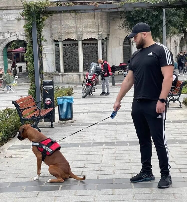 ���������� ����� �������, ���� ������� ����, 33 ����, ������������ ��� ������, ����� � ���������