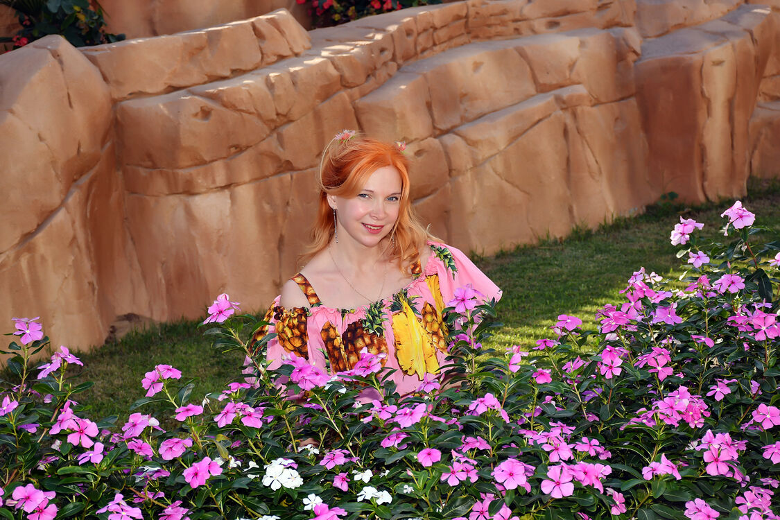 ���������� ���������, ���� ������� ����, 48 ���, ������������ ��� ������, ����� � ���������, c�������� ���������