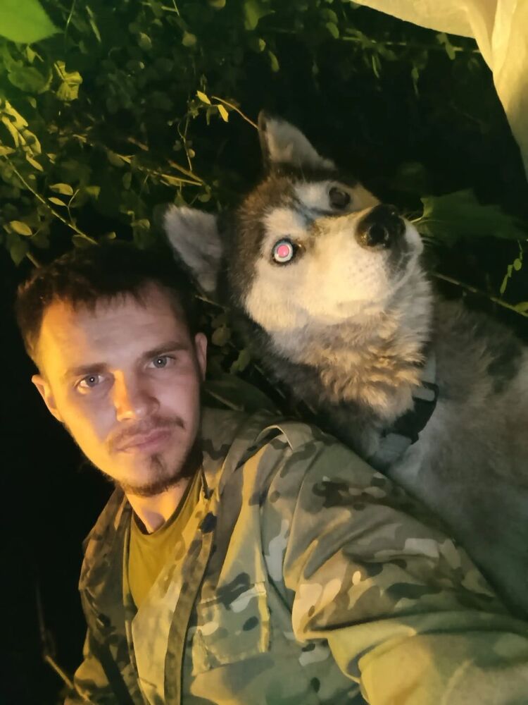 ���� 50447673 ������� �������, 27 ���, ���� ���������� � ������