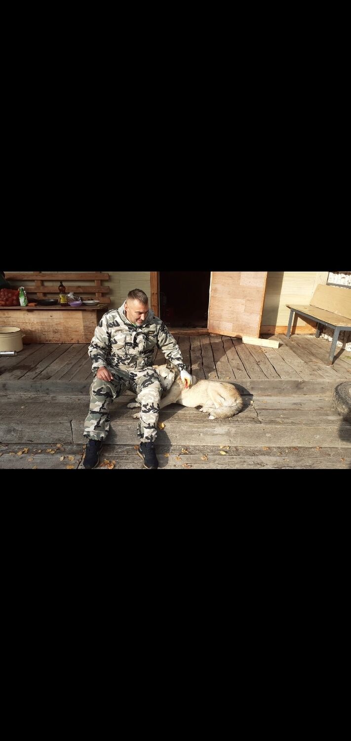  33275243  Cergei, 49 ,    