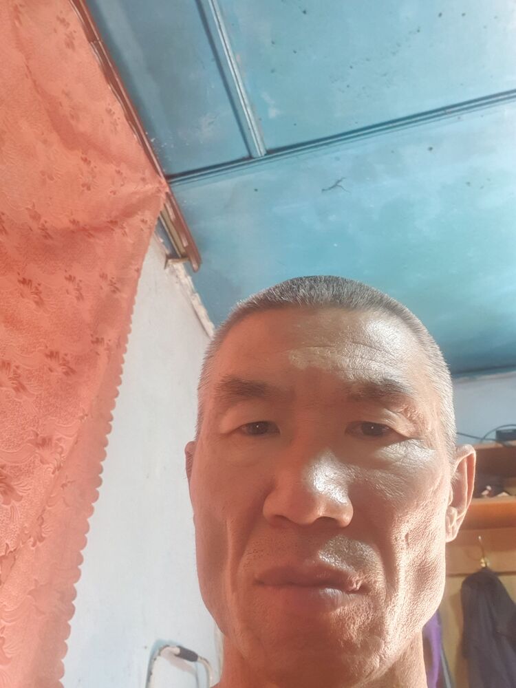  51333213  , 53 ,    