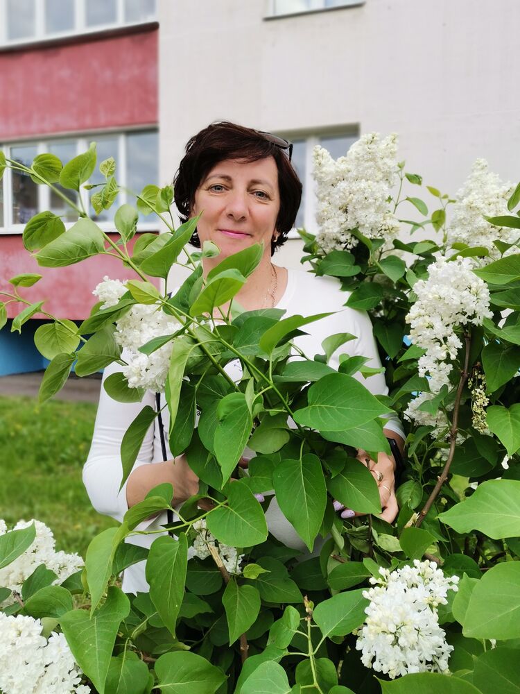 ���������� �����, ���� ������� �������, 55 ���, ������������ ��� ������, ����� � ���������, c�������� ���������