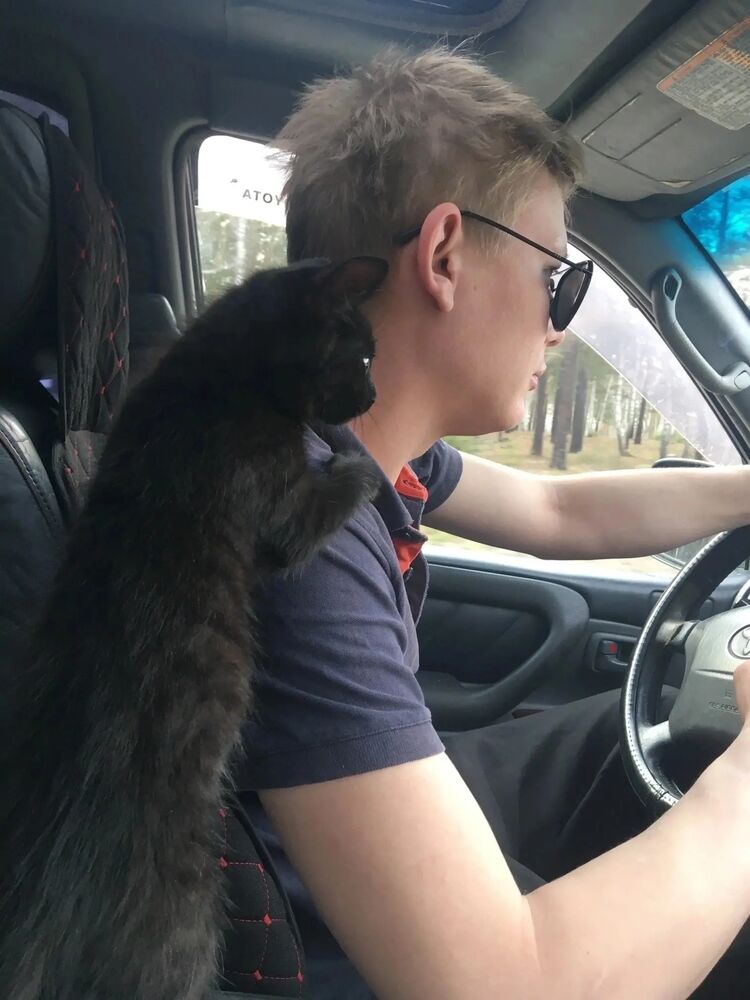 ���� 36197753 ������� ����, 28 ���, ���� ���������� � ��������