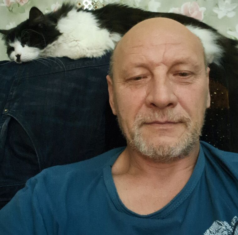 -,   , 50 ,   ,   