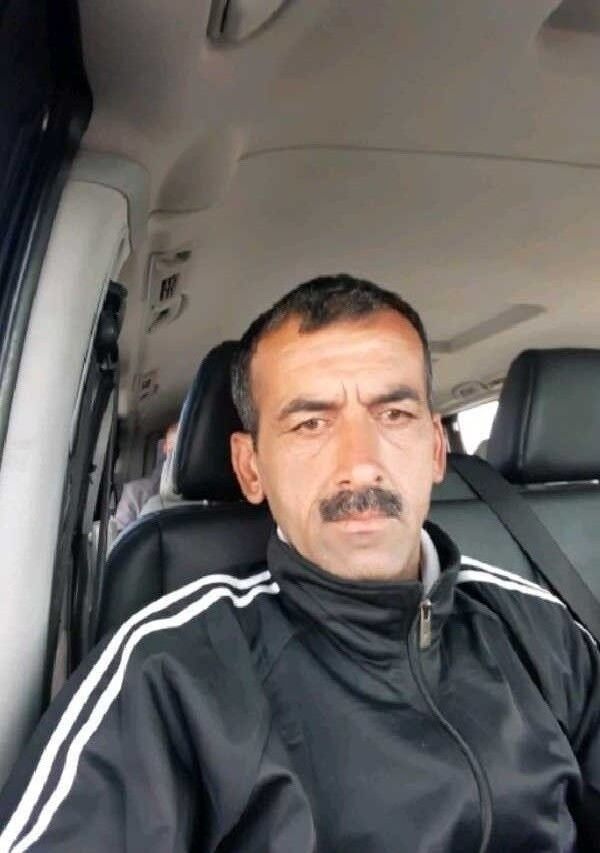  --,   Elman, 50 ,   ,   , c 