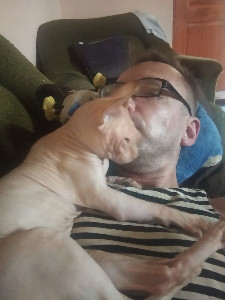  ,   , 51 ,   ,   