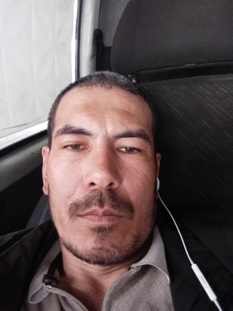 ���� 34091413 ������� ����, 43 ����, ���� ���������� � ������