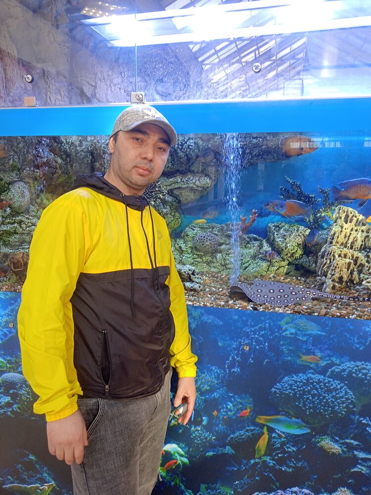 ���� 25799933 ������� ������, 32 ����, ���� ���������� � �����-����������