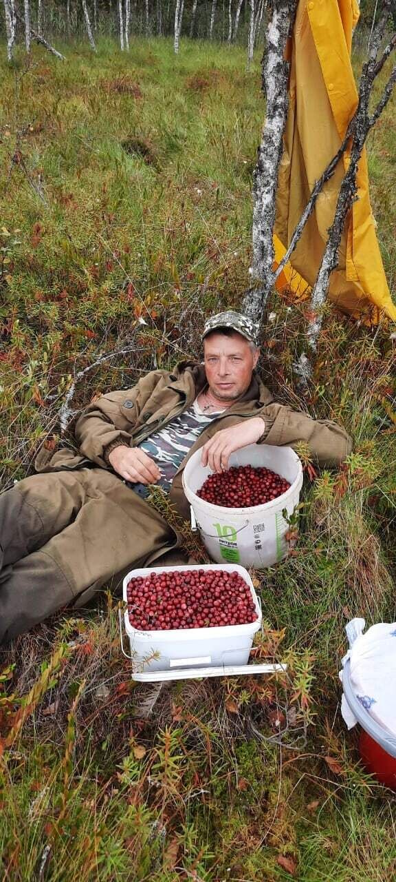 ���������� �����-���������, ���� ������� �����, 47 ���, ������������ ��� ������, ����� � ���������, c�������� ���������