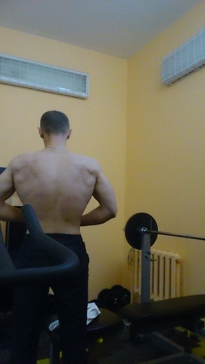  5115983  , 33 ,    