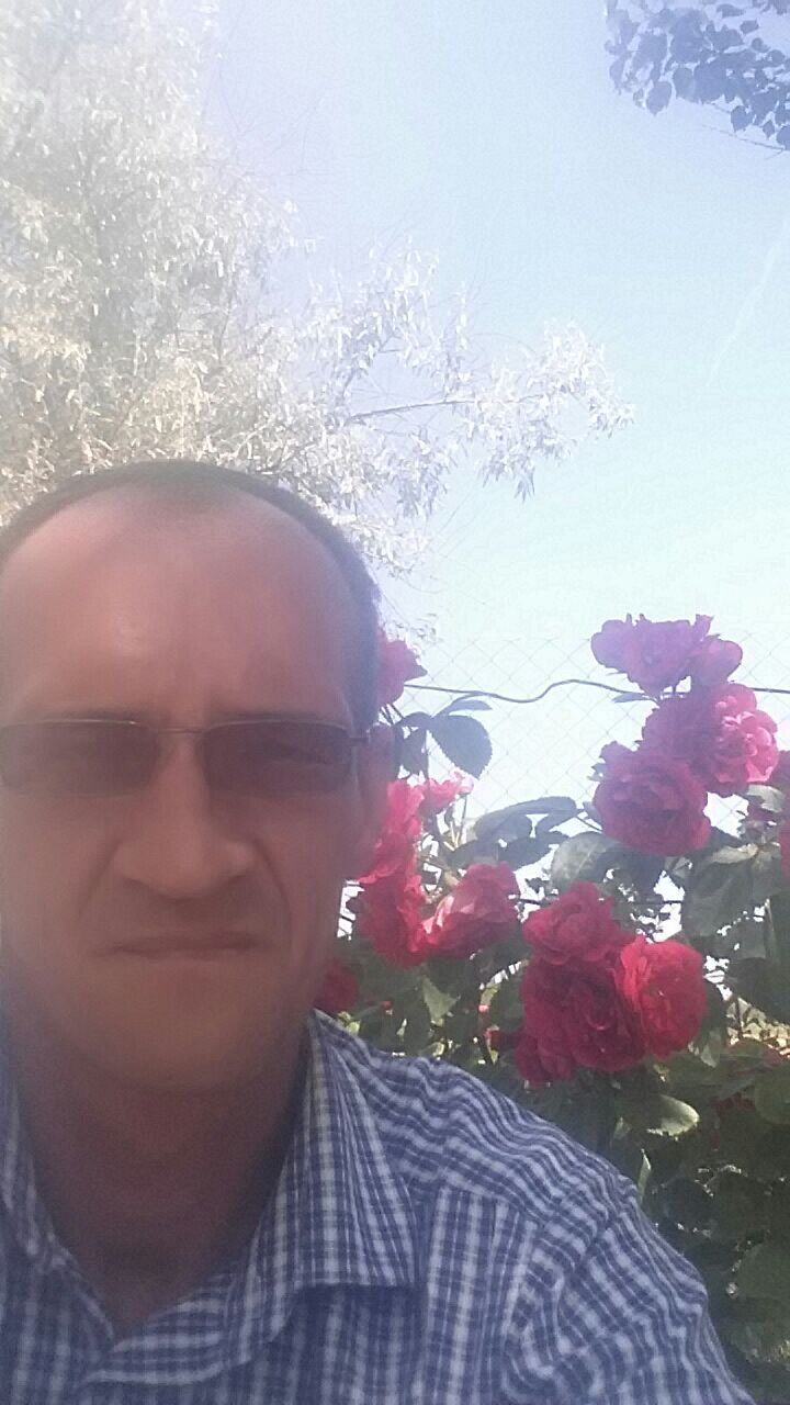  41705563  , 45 ,    