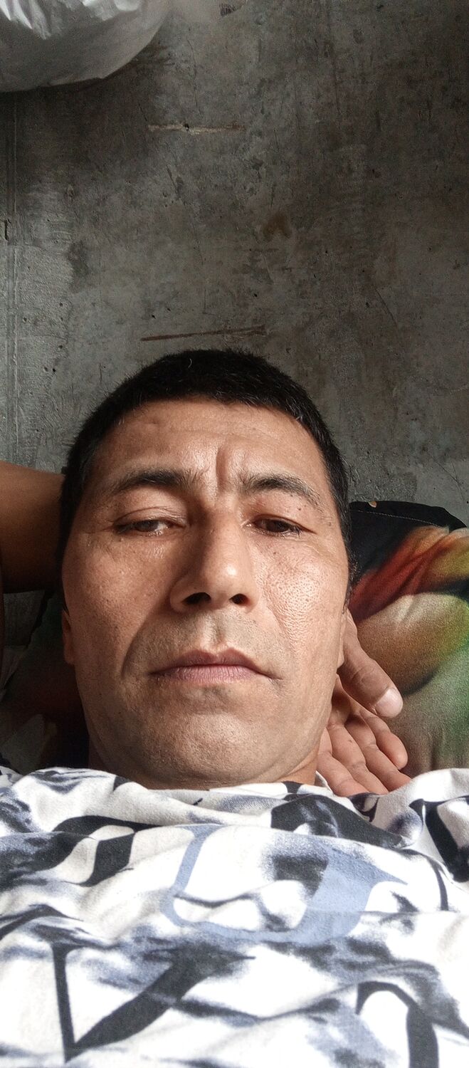  46679753  , 43 ,    
