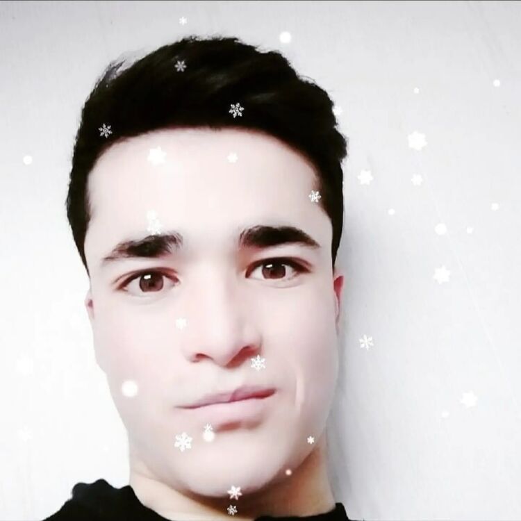 ���������� �������, ���� ������� Alimardon, 26 ���, ������������ ��� ������, ����� � ���������