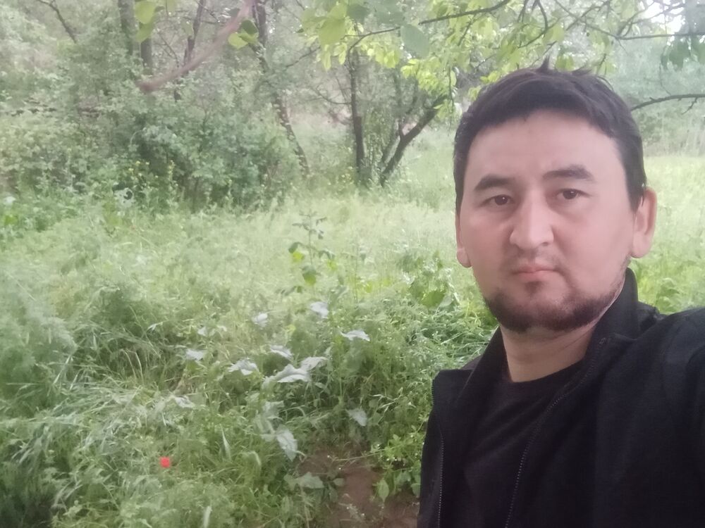  42954693  Dima, 31 ,    