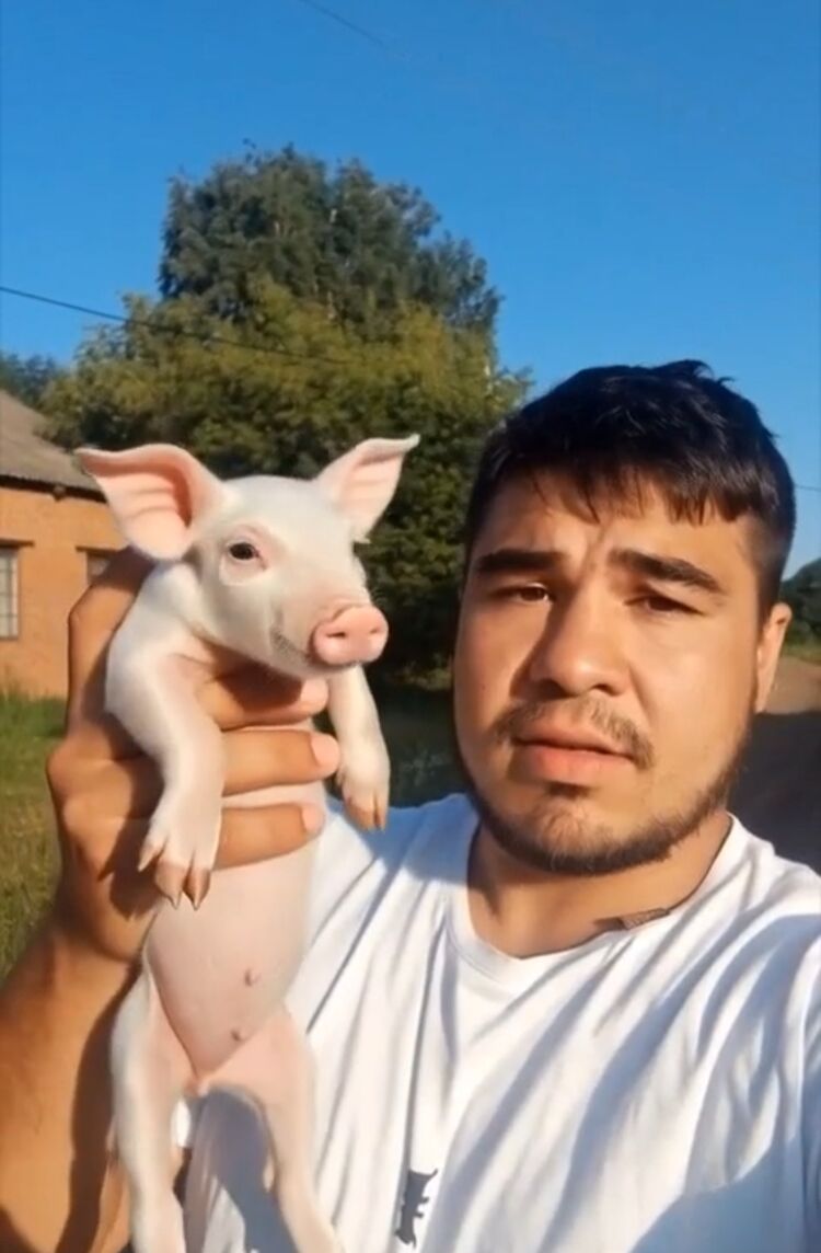 ���� 54797383 ������� ����, 32 ����, ���� ���������� � ��������������