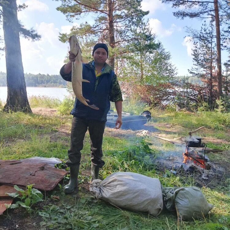 ���������� ������, ���� ������� ������, 43 ����, ������������ ��� ������, ����� � ���������