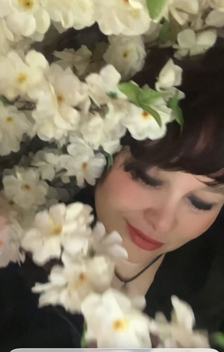 ���������� �����������, ���� ������� �������, 52 ����, ������������ ��� ����� � ���������, c�������� ���������