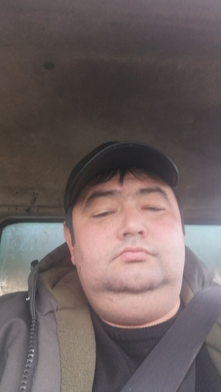  33683303  , 43 ,    