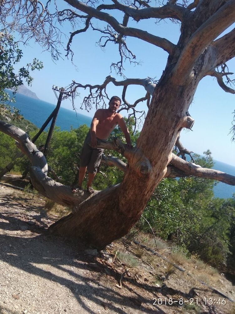  ,   C, 48 ,   