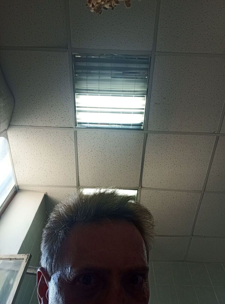 ���� 28764223 ������� ������, 37 ���, ���� ���������� � ������