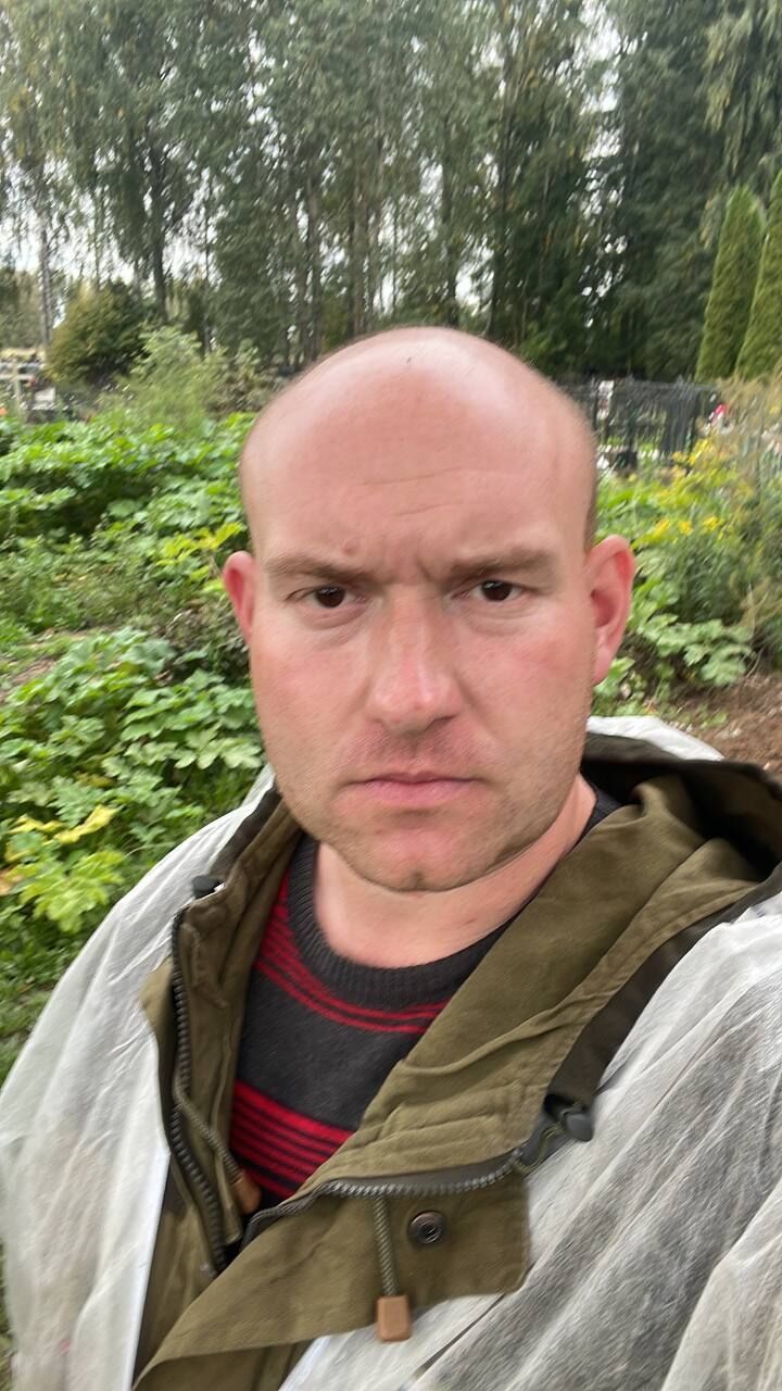 ���� 41653813 ������� �������, 38 ���, ���� ���������� � ������