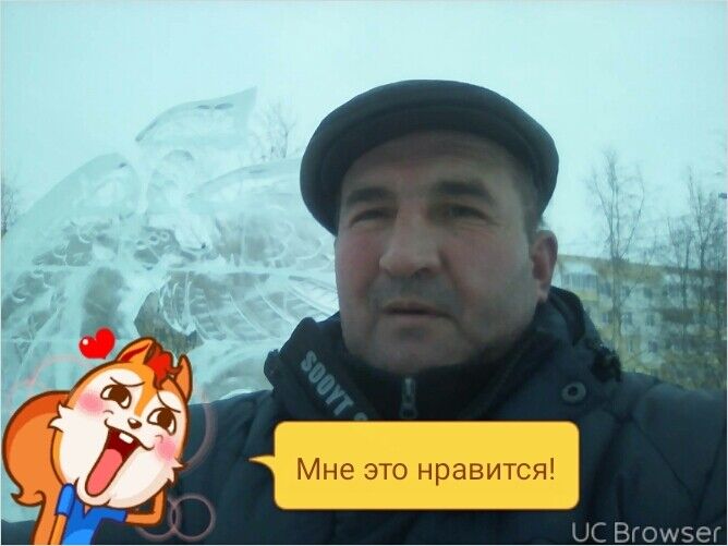  12366813  , 52 ,    