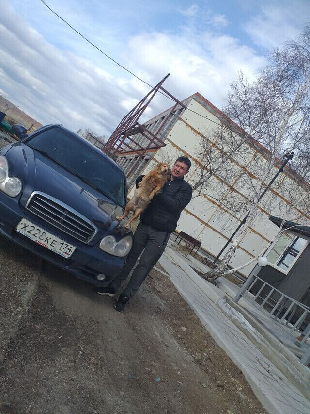 ���������� ���������, ���� ������� ������, 46 ���, ������������ ��� ������, ����� � ���������, c�������� ���������