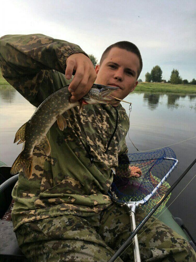 ���������� ������, ���� ������� ������, 38 ���, ������������ ��� ������, ����� � ���������, c�������� ���������, ���������