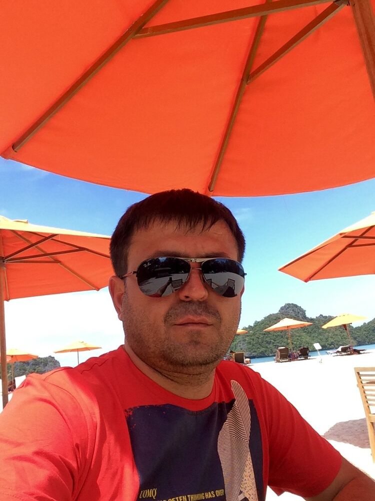 ���� 8151603 ������� Sher, 48 ���, ���� ���������� � ��������