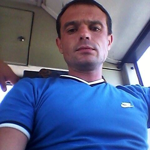  16302473  , 42 ,    