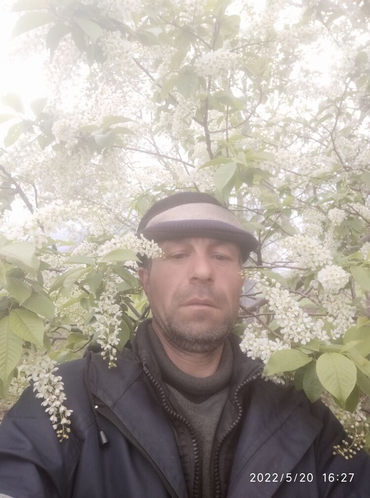  ,   , 44 ,   ,   