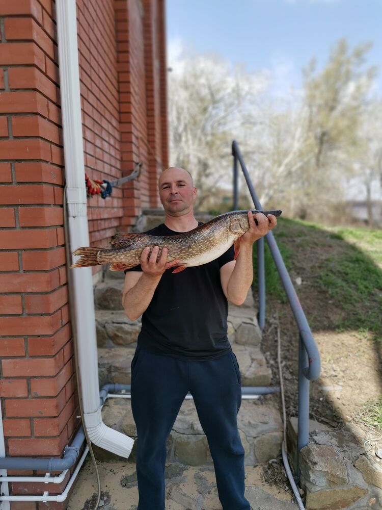  26983833  , 54 ,    