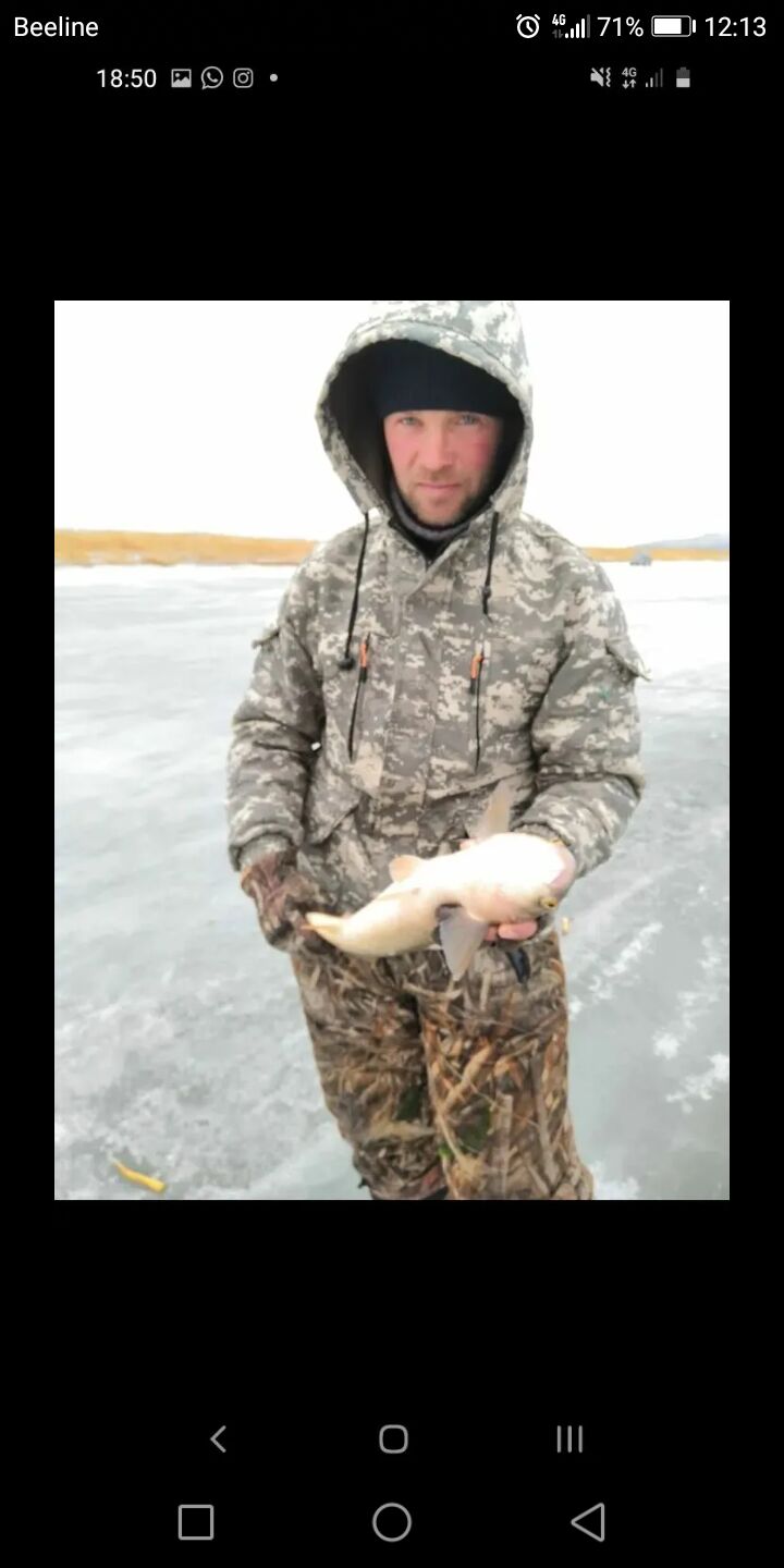 ���������� ���������, ���� ������� �����, 40 ���, ������������ ��� ������, ����� � ���������