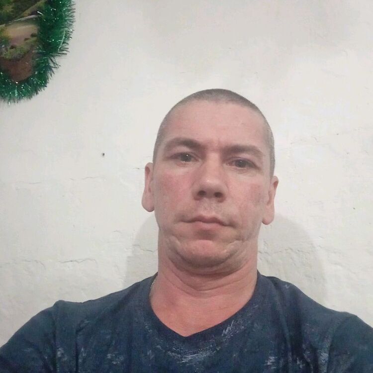  48101433  , 43 ,    