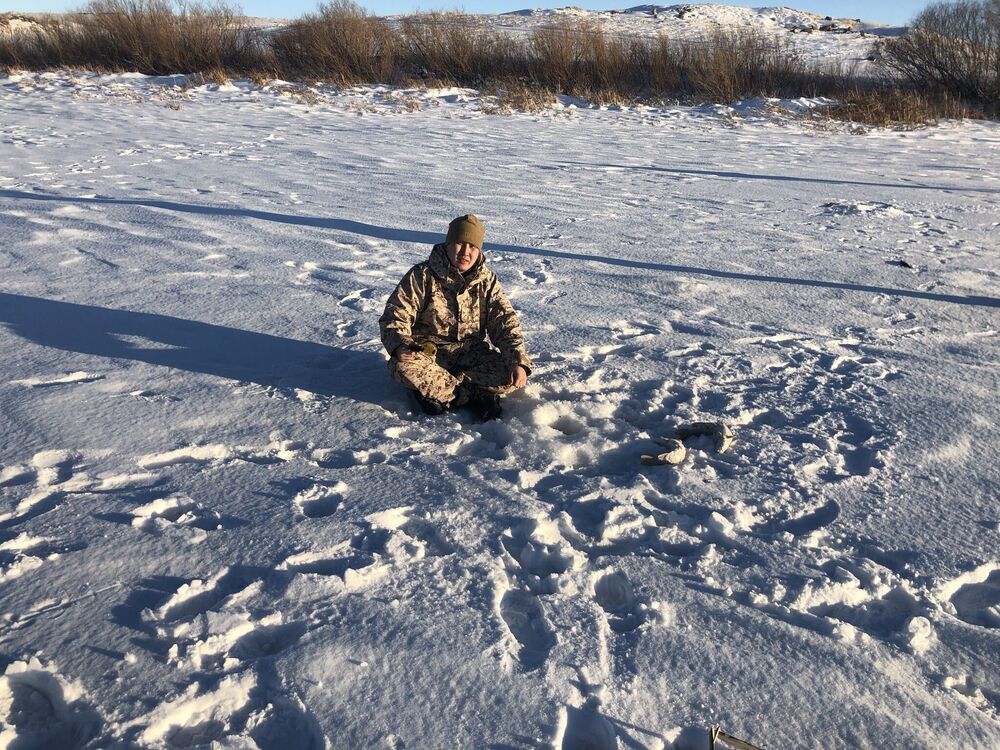 ���� 24340373 ������� Miras, 37 ���, ���� ���������� � ������