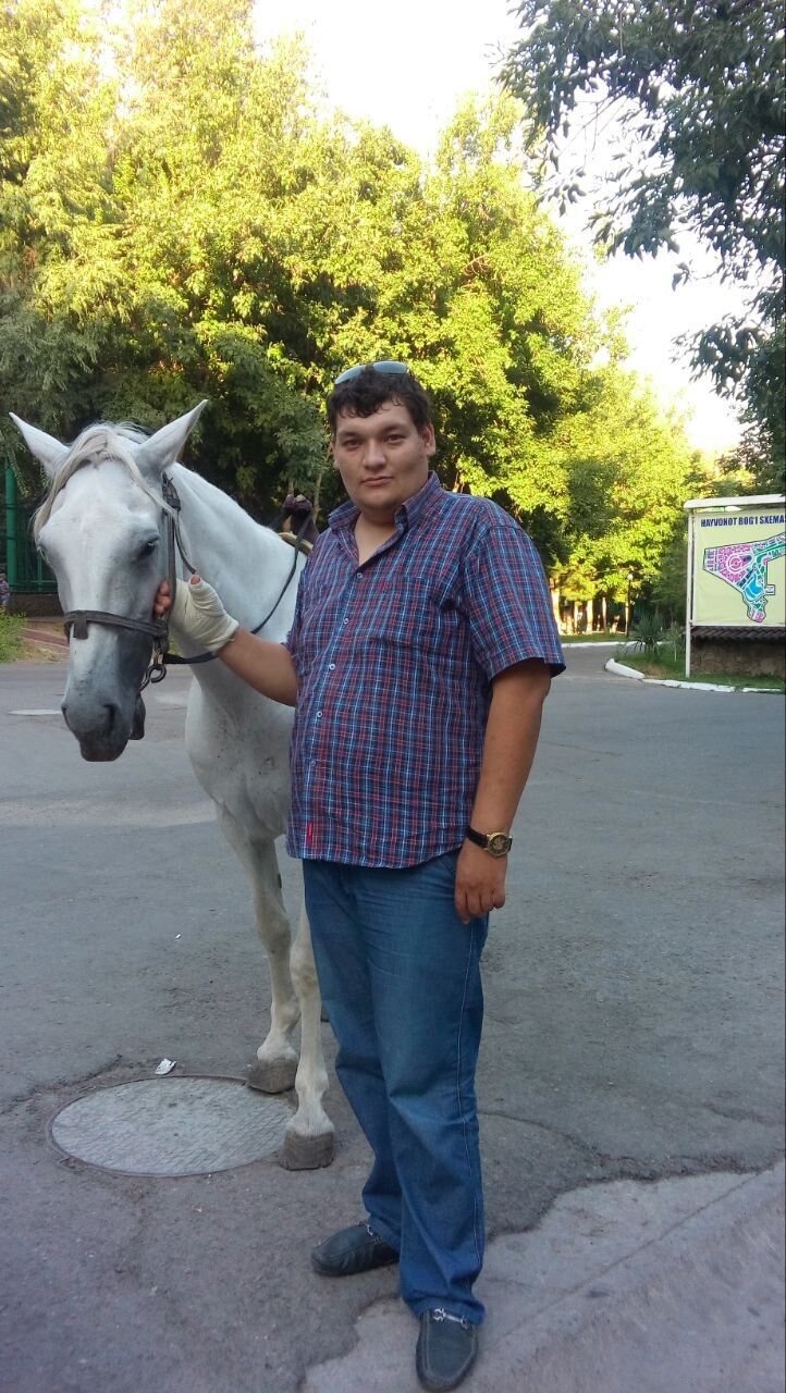  53295993  , 39 ,    
