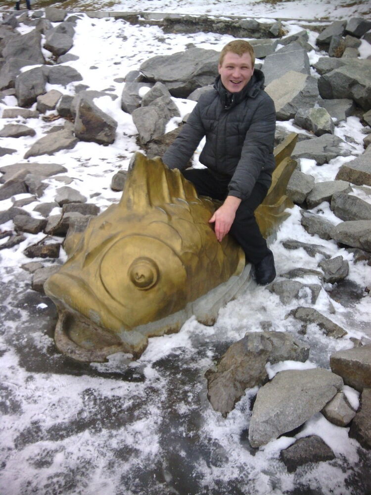 ���� 3991873 ������� ����, 40 ���, ���� ���������� � ����������