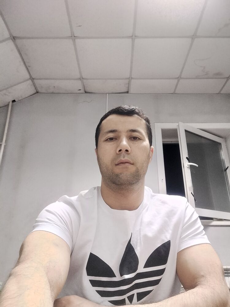  44950873  , 38 ,    