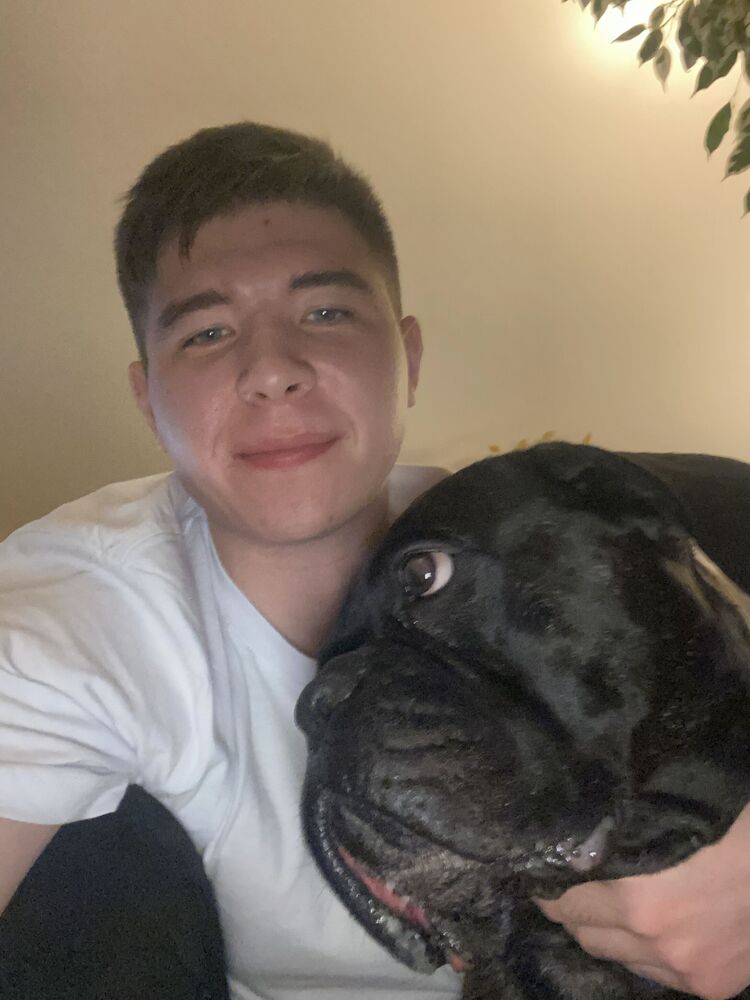  54052353  , 24 ,    -