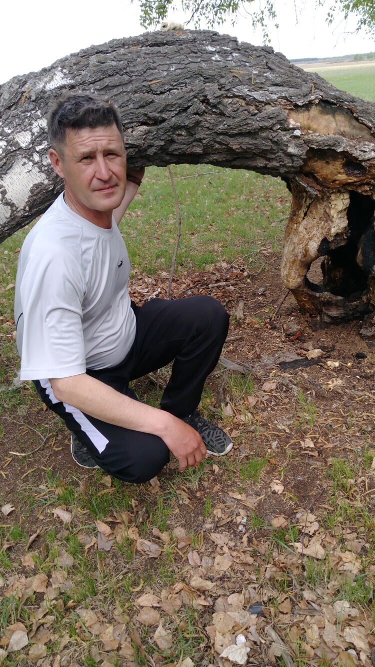 ���� 23355563 ������� ����, 52 ����, ���� ���������� � ������