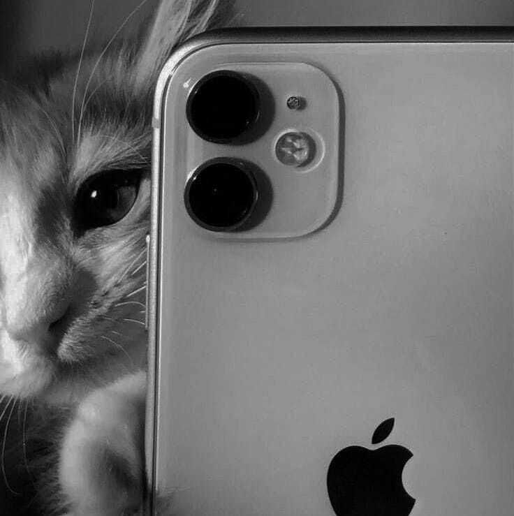 ���� 41060393 ����� �����, 19 ���, ���� ���������� � ������