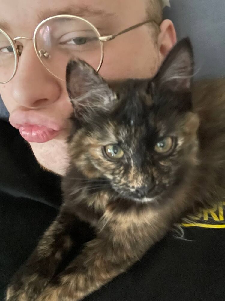 ���� 25185543 ������� EL_Problemo, 27 ���, ���� ���������� � ��������